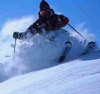 モヤヒルズSKIスクール